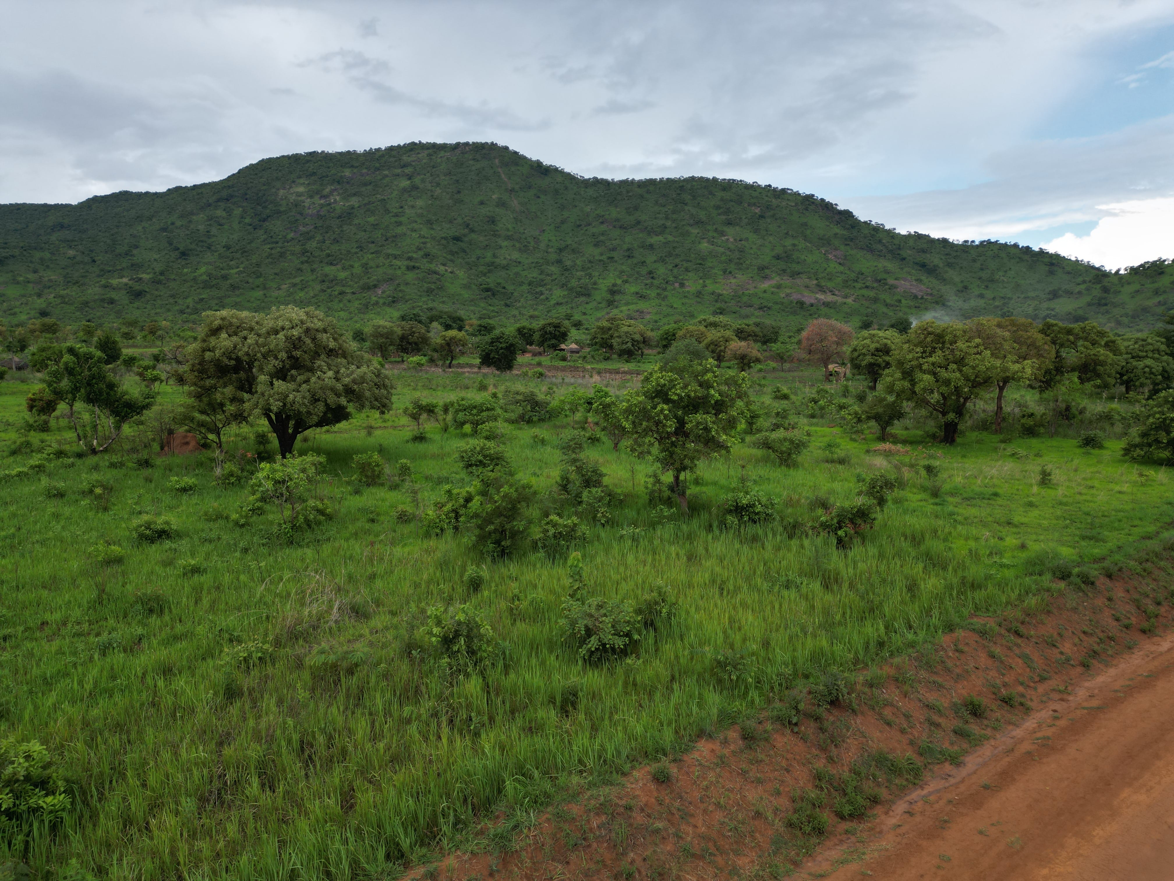 Lango cultural landscape