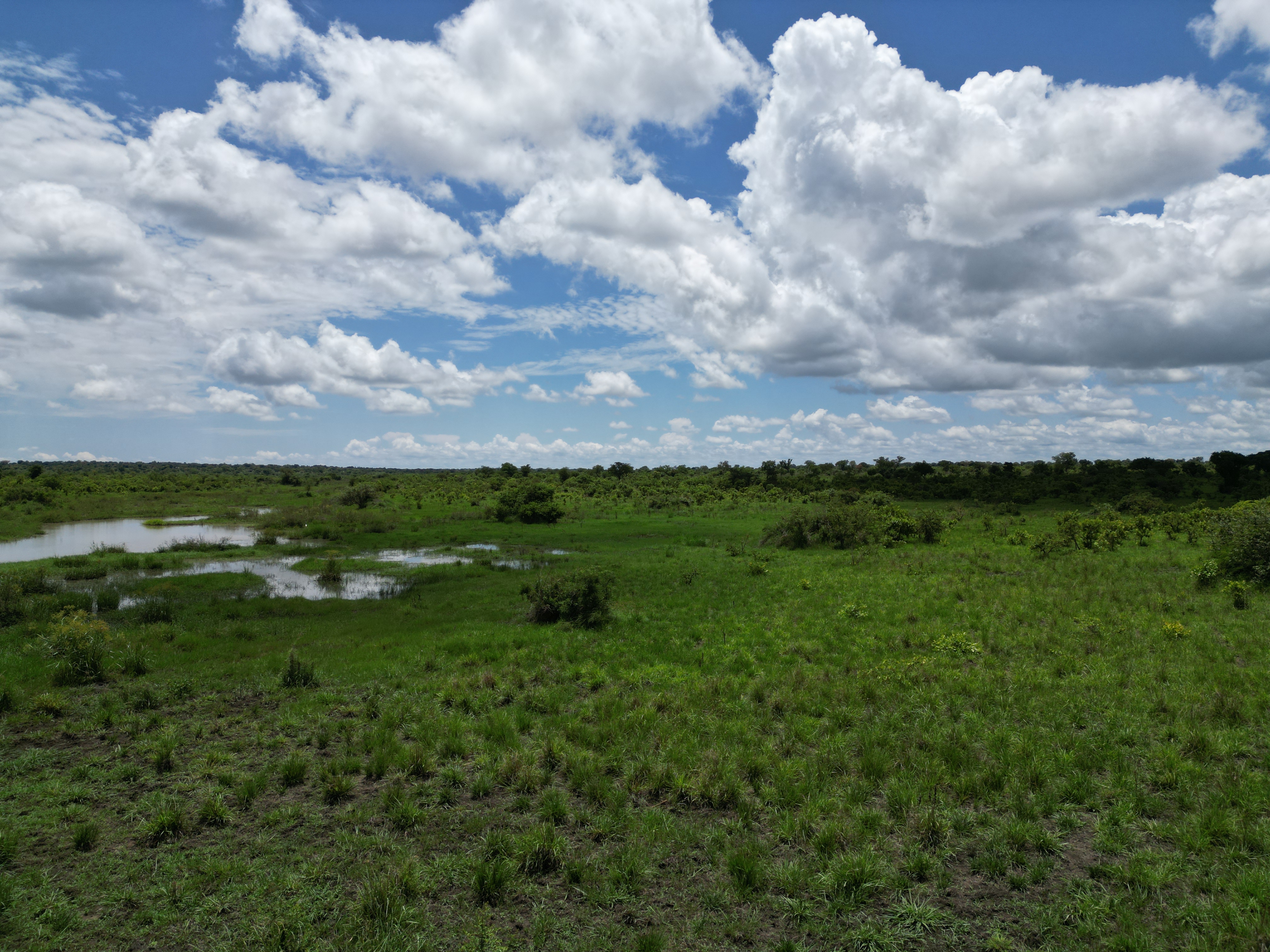 Ngeta Hills, where Akii Bua’s legacy inspires