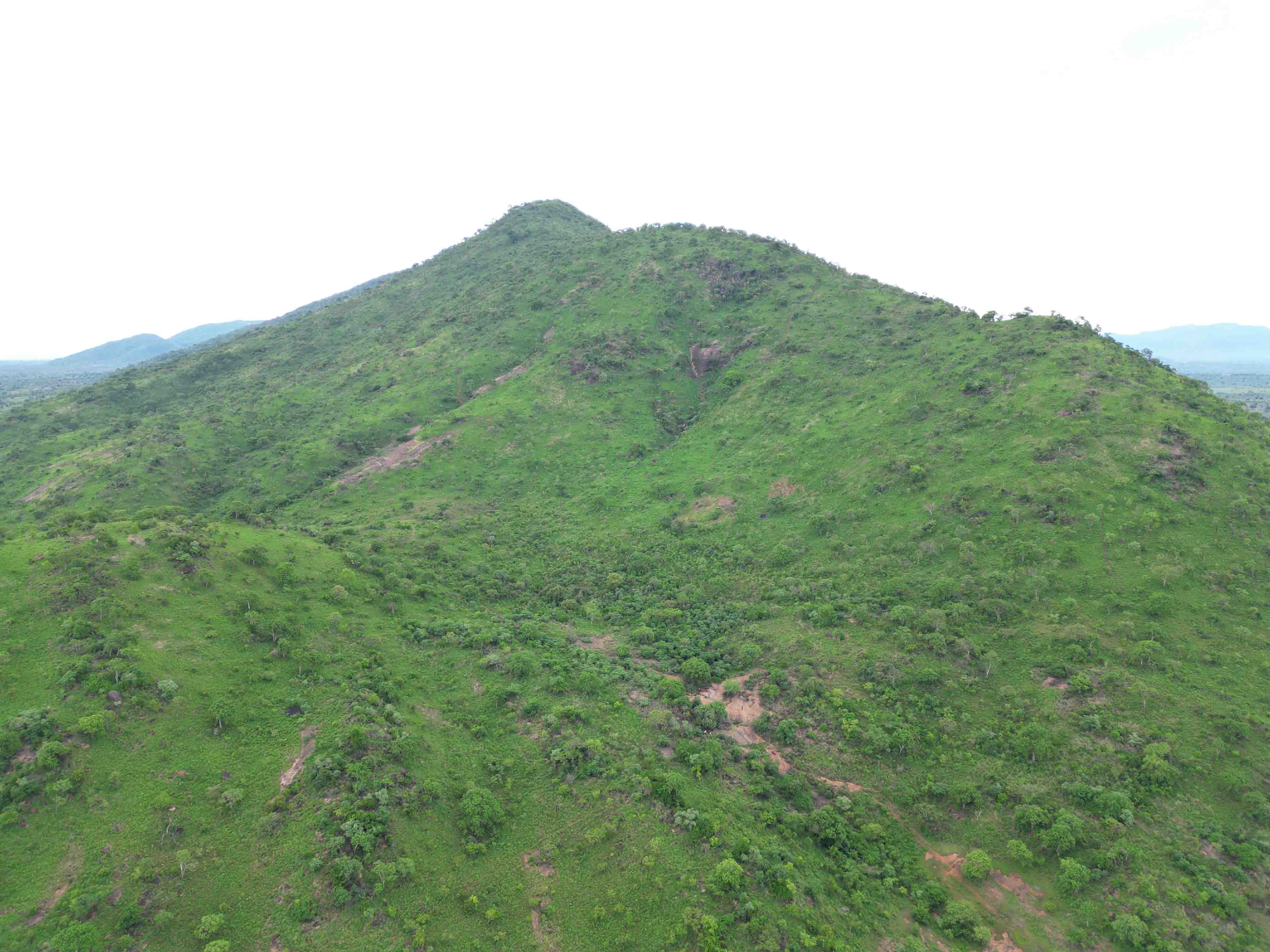 Ngeta Hills, where Akii Bua’s legacy inspires