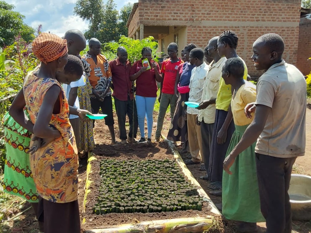 Farming Experiences in Lango’s fertile lands
